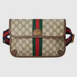 gucci aaa qualite sacs ceinture pour unisexe s_11021aa